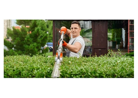Expert Hedge Cutting And Trimming in Melbourne