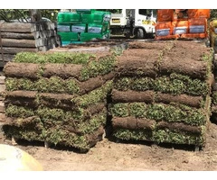Turf Supplies in North Shore & Northern Beaches