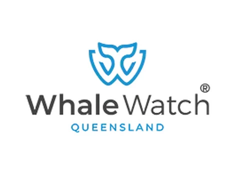 Queensland's Majestic Whale Migration