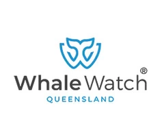 Queensland's Majestic Whale Migration
