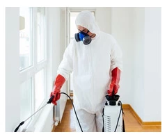 Book Quality Pest Control Services in St Clair Today
