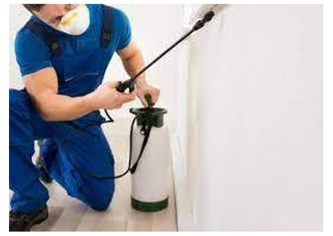 Reliable Solutions for Pest Control in Melton