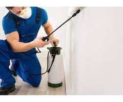 Reliable Solutions for Pest Control in Melton