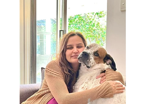 South Lake Best Veterinary Clinic - 4/4