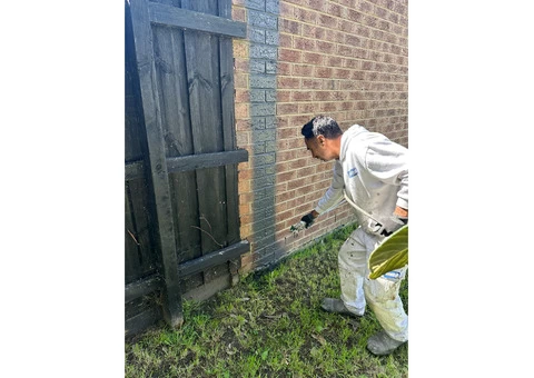 Comprehensive House Painting Services in Lyndhurst - 4/8
