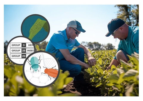 Pest Control Randwick