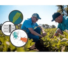 Pest Control Randwick