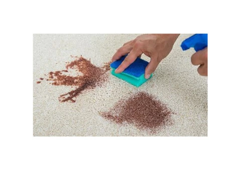 Professional Carpet Steam Cleaning in Melbourne: Quality and Efficiency Combined!