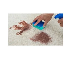 Professional Carpet Steam Cleaning in Melbourne: Quality and Efficiency Combined!