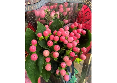 The Little Market Bunch - 2/2