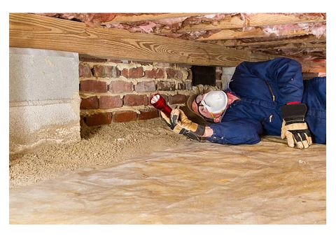 Comprehensive Termite Inspection Services by Precision Pest Control