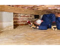 Comprehensive Termite Inspection Services by Precision Pest Control