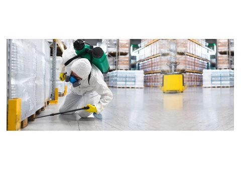 Expert Termite Treatment in Adelaide | Southern Suburbs Pest Control