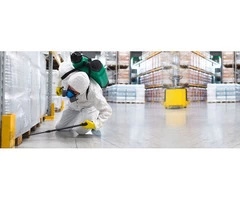 Expert Termite Treatment in Adelaide | Southern Suburbs Pest Control