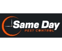 Quick and Effective Possum Removal Brisbane Services