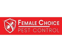 Effective Flies Control Service in Brisbane