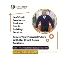 Leaf Credit Solutions - Business Credit Building Services