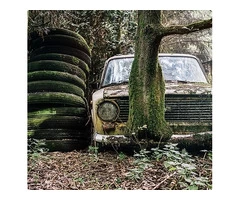 Sell Your Unwanted Cars in Canberra for Instant Cash