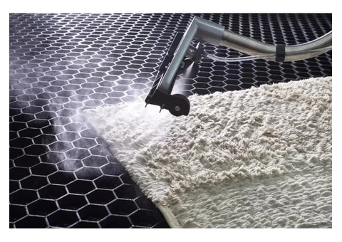 Professional Sydney Carpet Cleaning |Sydney Cleaning Experts