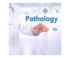 Importance of pathology