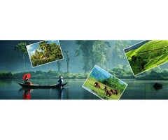 Enchanting Kerala Tour Packages for an Unforgettable Experience