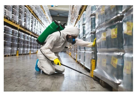 Al-Maani Pest Control - Your Solution for Best Pest Control in Melbourne!
