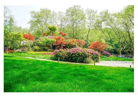 Elevate Your Outdoors With a Premier Landscape Horticulture Firm