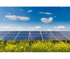Contact Empower Solar Australia For Best Solar Panel Service in Adelaide