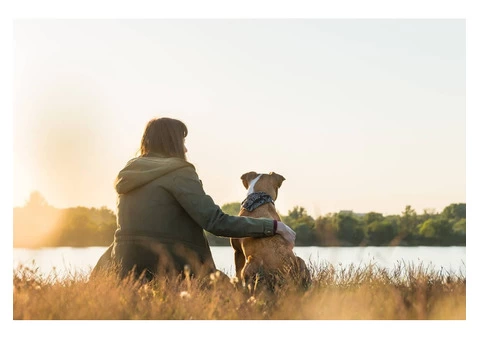 Mates Away: Pet-Friendly Adventures – Travel with My Dog