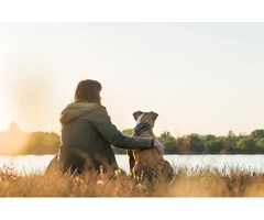 Mates Away: Pet-Friendly Adventures – Travel with My Dog