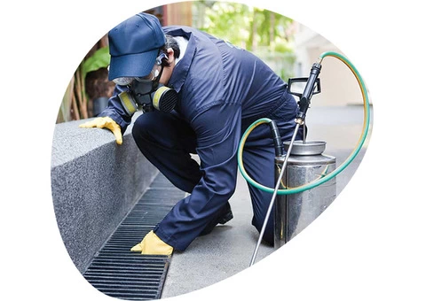 Looking for Pest Control Services in Penrith, Box Hill, Liverpool, Parramatta and Blacktown? - 2/2