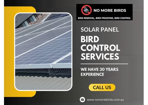 Solar Panel Bird Control Services