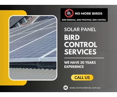 Solar Panel Bird Control Services