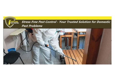 Stress-Free Pest Control - Your Trusted Solution for Domestic Pest Problems