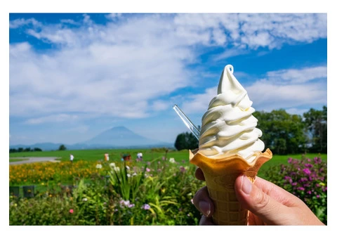 Best Quality Ice Cream Flavors in Australia