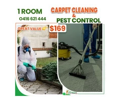 Pest Control Logan | Rug Cleaning Logan | Pet Stain Removal |iCarpet Clean and Pest Control