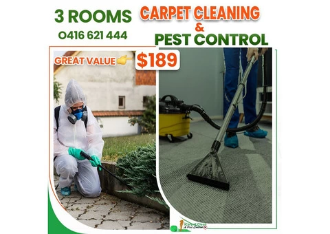 Pest Control Logan | Rug Cleaning Logan | Pet Stain Removal |iCarpet Clean and Pest Control - 3/5