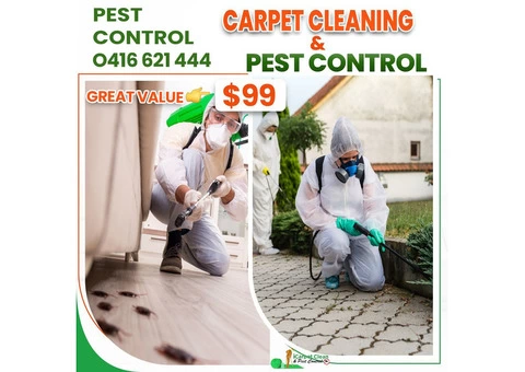 Pest Control Logan | Rug Cleaning Logan | Pet Stain Removal |iCarpet Clean and Pest Control - 4/5