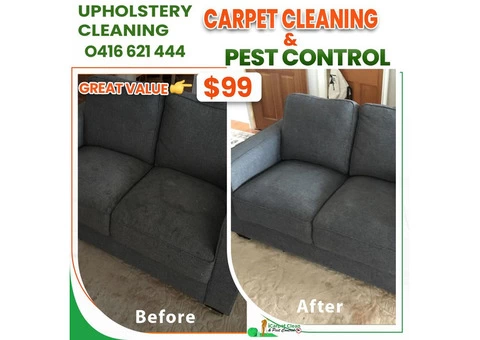 Pest Control Logan | Rug Cleaning Logan | Pet Stain Removal |iCarpet Clean and Pest Control - 5/5