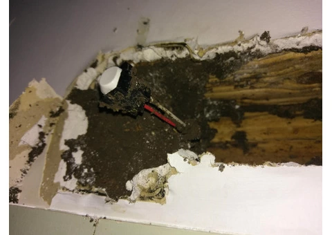 Non-Chemical Termite Treatment, TERM-Seal Termite Barrier System