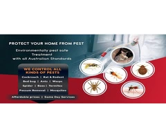 Recon Pest Control Services in Melbourne