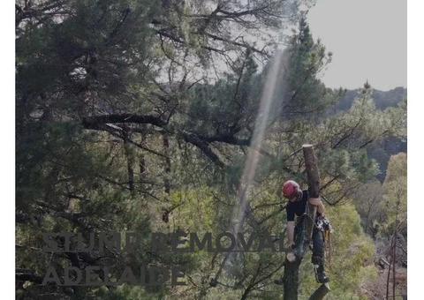 Tree Removal Adelaide