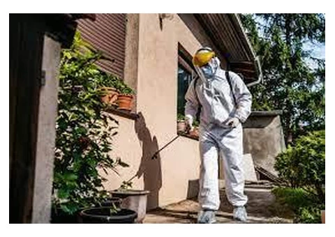 Eco-Friendly Pest Control in Queenscliff