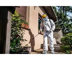 Eco-Friendly Pest Control in Queenscliff