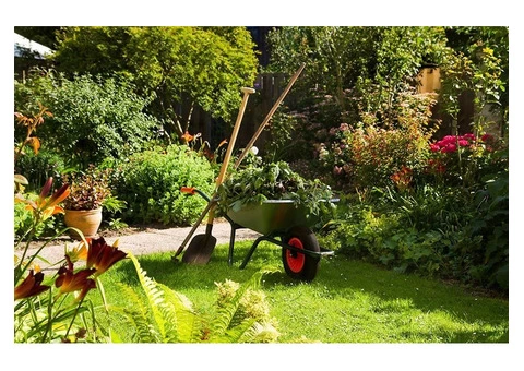 Professional Garden Rubbish Removal Services