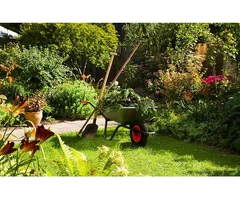 Professional Garden Rubbish Removal Services