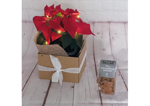 The Little Market Bunch - 4/4