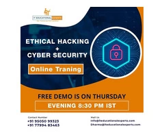 Remote IT training  || Professional Courses || Software Courses