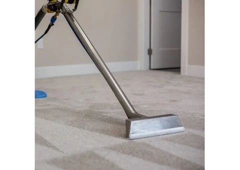 Carpet Cleaners