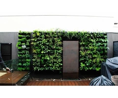 vertical garden installation service in melbourne